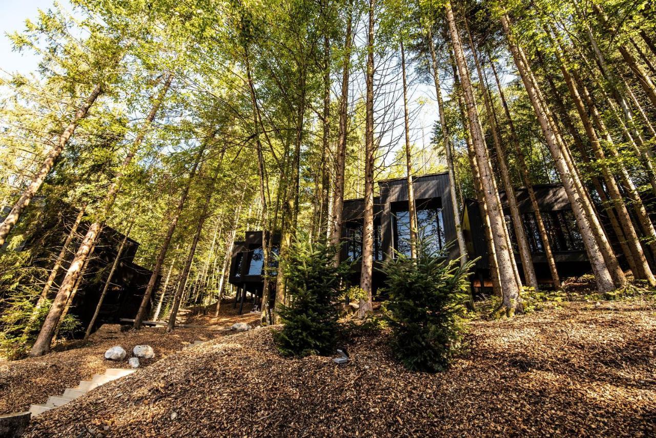 Hotel Fischerwirt Natur WaldSPA Faistenau Bagian luar foto