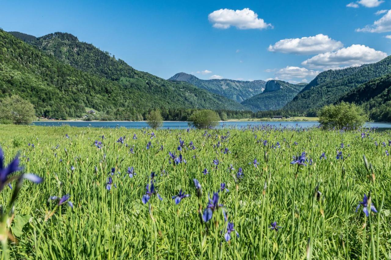 Hotel Fischerwirt Natur WaldSPA Faistenau Bagian luar foto