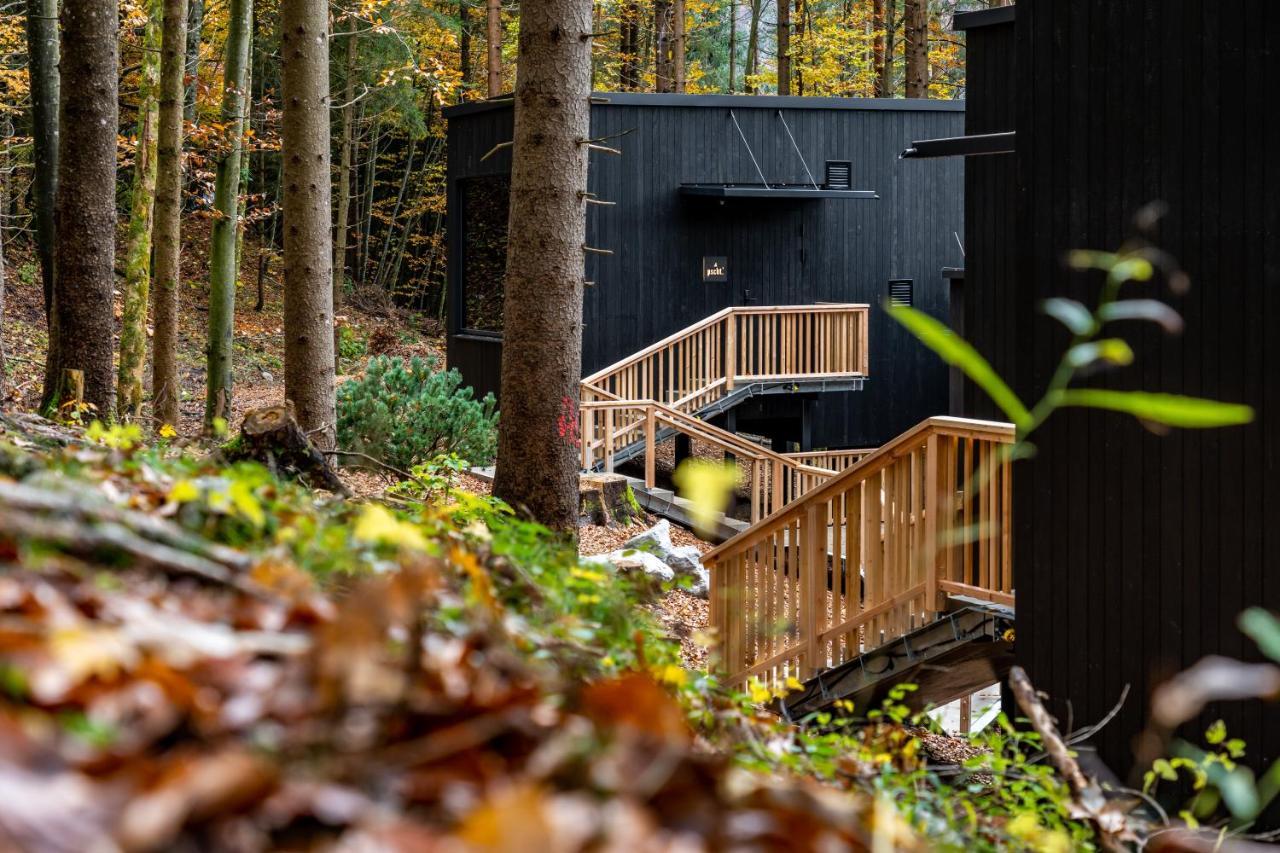 Hotel Fischerwirt Natur WaldSPA Faistenau Bagian luar foto